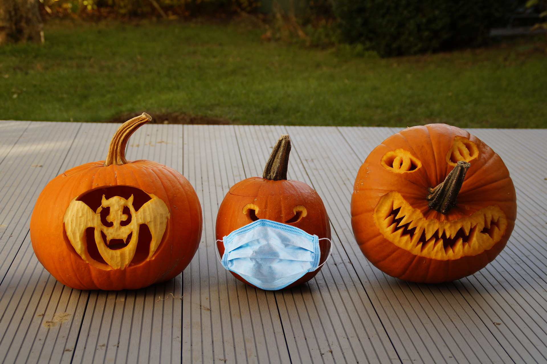 carved pumpkins