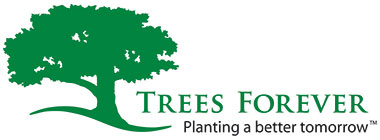 Tree Forever Logo
