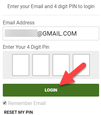 Enter your Email Address and 4 Digit Pin and click LOGIN.