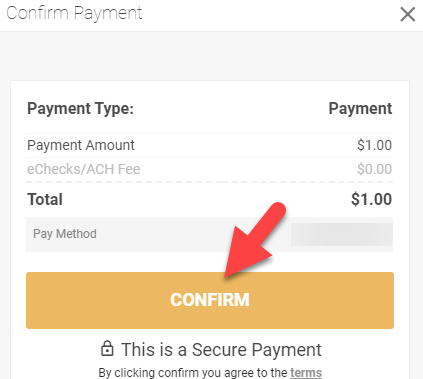 Review the payment and select CONFIRM to submit.