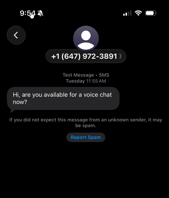 Fraud Example