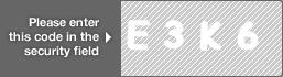 captcha code for visual authentication  letter E number 3 letter K number 6