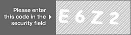 captcha code for visual authentication  letter E number 6 letter Z number 2