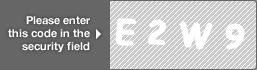captcha code for visual authentication  letter E number 2 letter W number 9