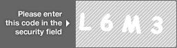 captcha code for visual authentication  letter L number 6 letter M number 3