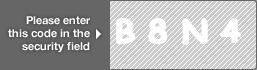 captcha code for visual authentication  letter B number 8 letter N number 4
